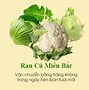 Cửa Hàng Thực Phẩm Hà Nội Tiến Huệ