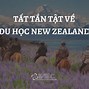 Du Học Tiến Sĩ Tại New Zealand Có Tốt Không Ạ Không