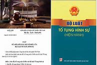 Luật Sửa Đổi Bổ Sung Luật Hình Sự