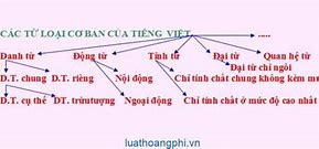 Túc Tắc Là Loại Từ Gì