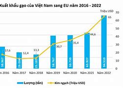 Xuất Khẩu Gạo Sang Eu Năm 2022 Là Gì Tỷ Lệ Nào Cao Nhất